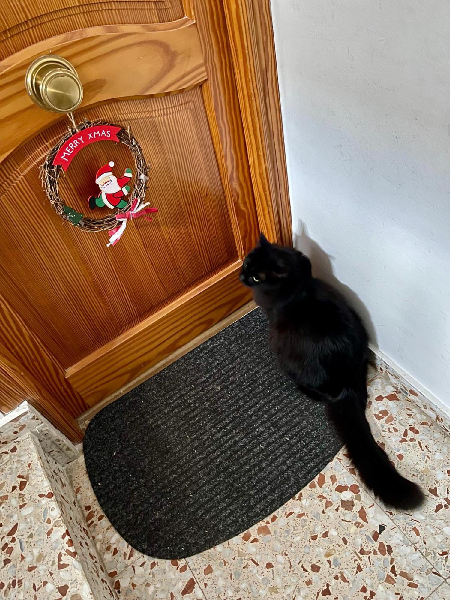 Richmarhome Appartamento *
